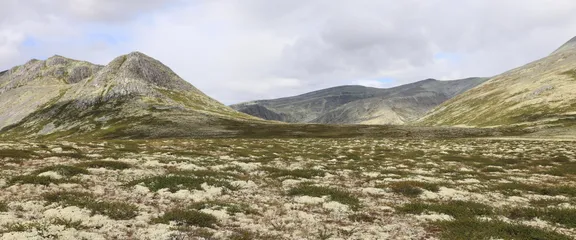 Noors landschap 3